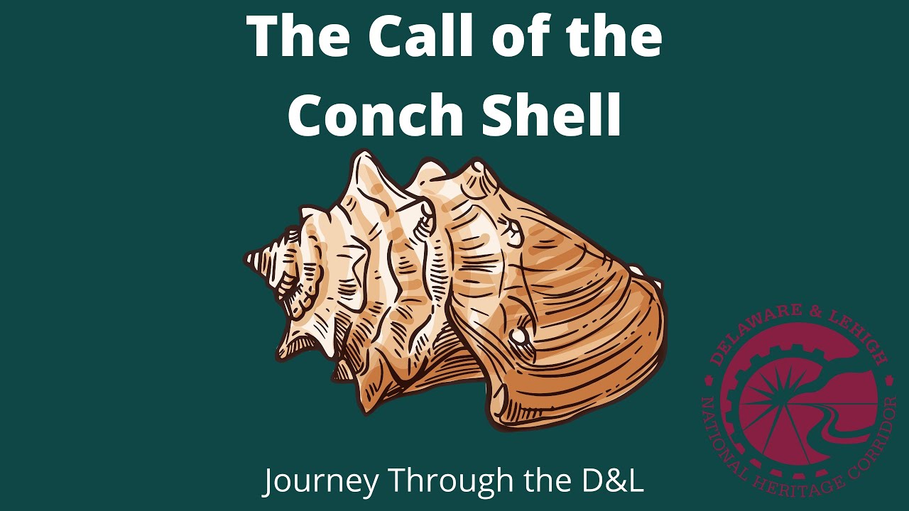 The Call of the Conch Shell