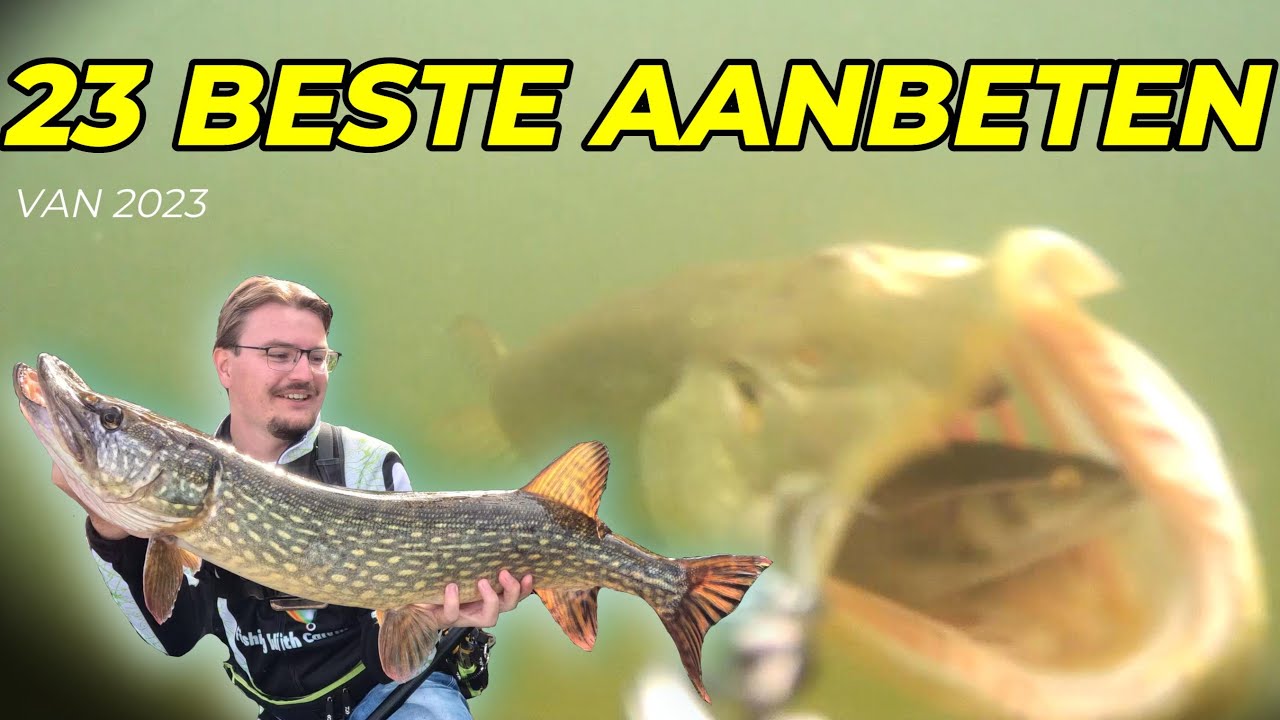 De 23 BESTE snoek aanbeten van 2023 / The 23 BEST pike strikes of 2023
