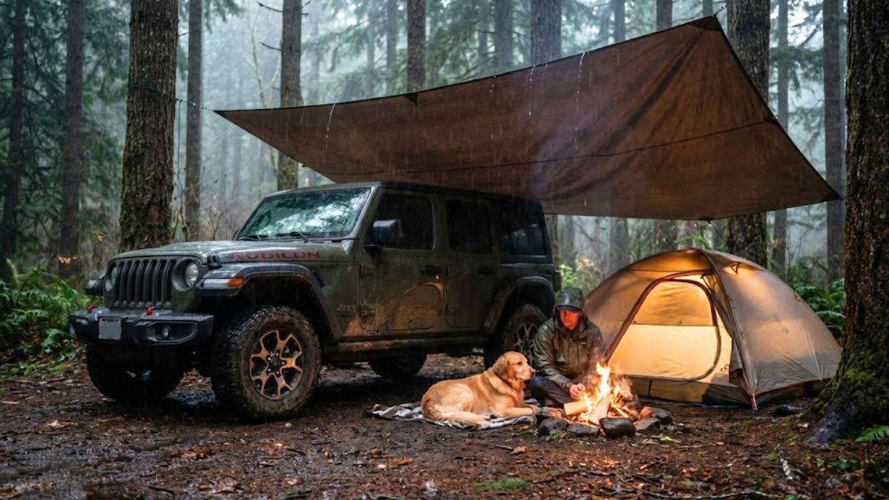 Rainy Forest Camping with My Dog | Jeep Wrangler Overlanding | Tarp Shelter & Cozy Tent ASMR