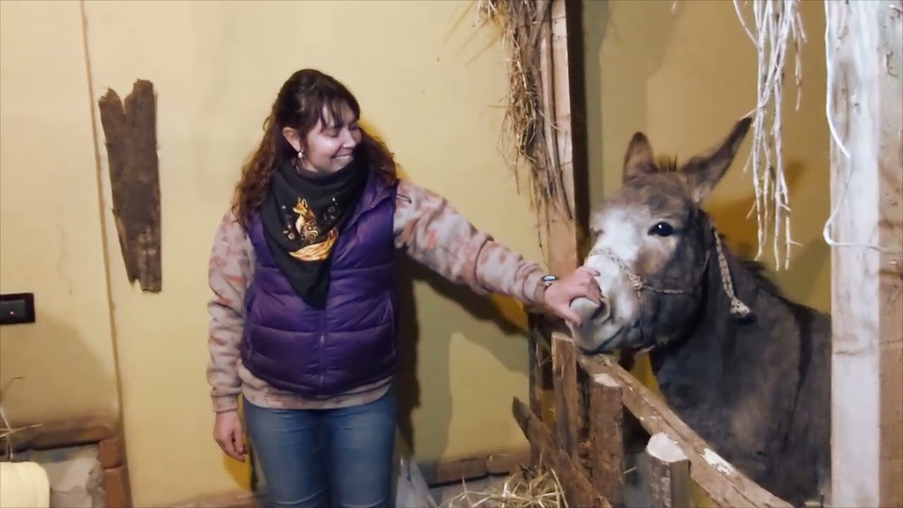Presepe Vivente Prignano Cilento (SA)