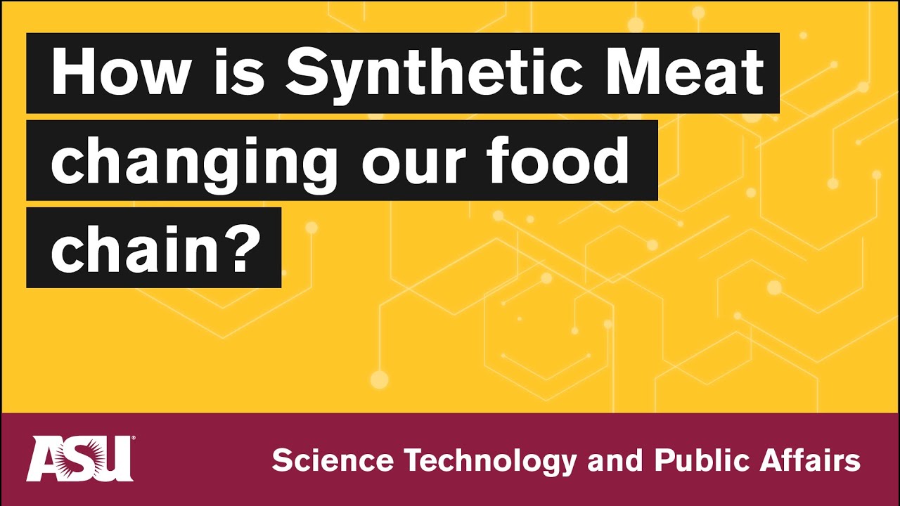Synthetic Meat Overview