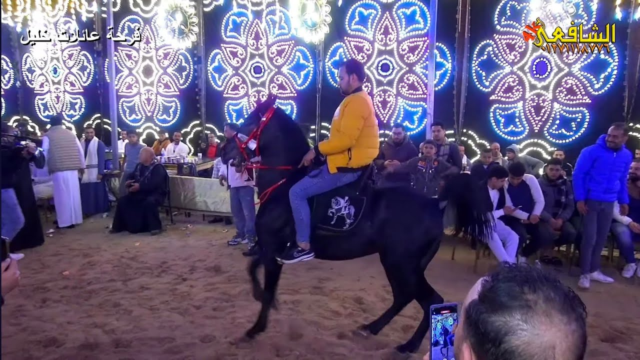 شوف الخيل 🐎 يرقص على المزمار حماده ابو الحاج 💪 فرحة عائلة خليل العلو 🎥الشافعي 4K
