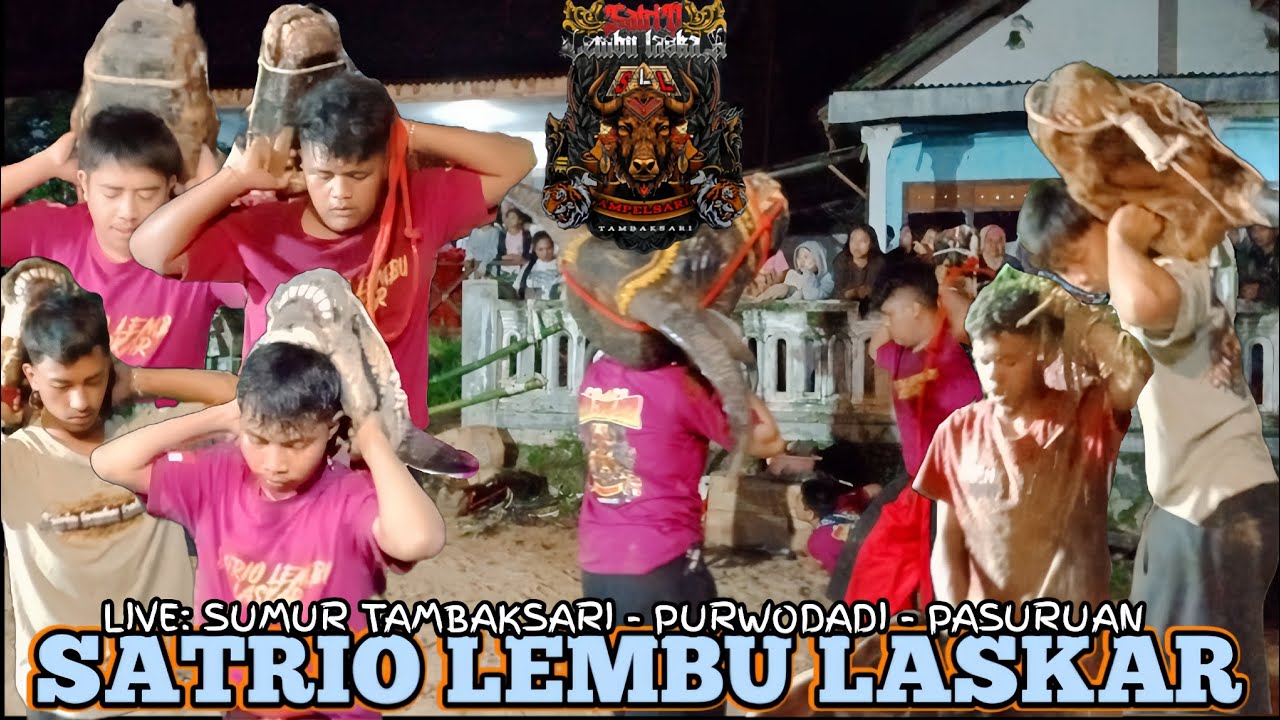 NGERI KALAPAN BANTENGAN SATRIO LEMBU LASKAR FULL PELAYON PAGAR SAMPAI JEBOL 