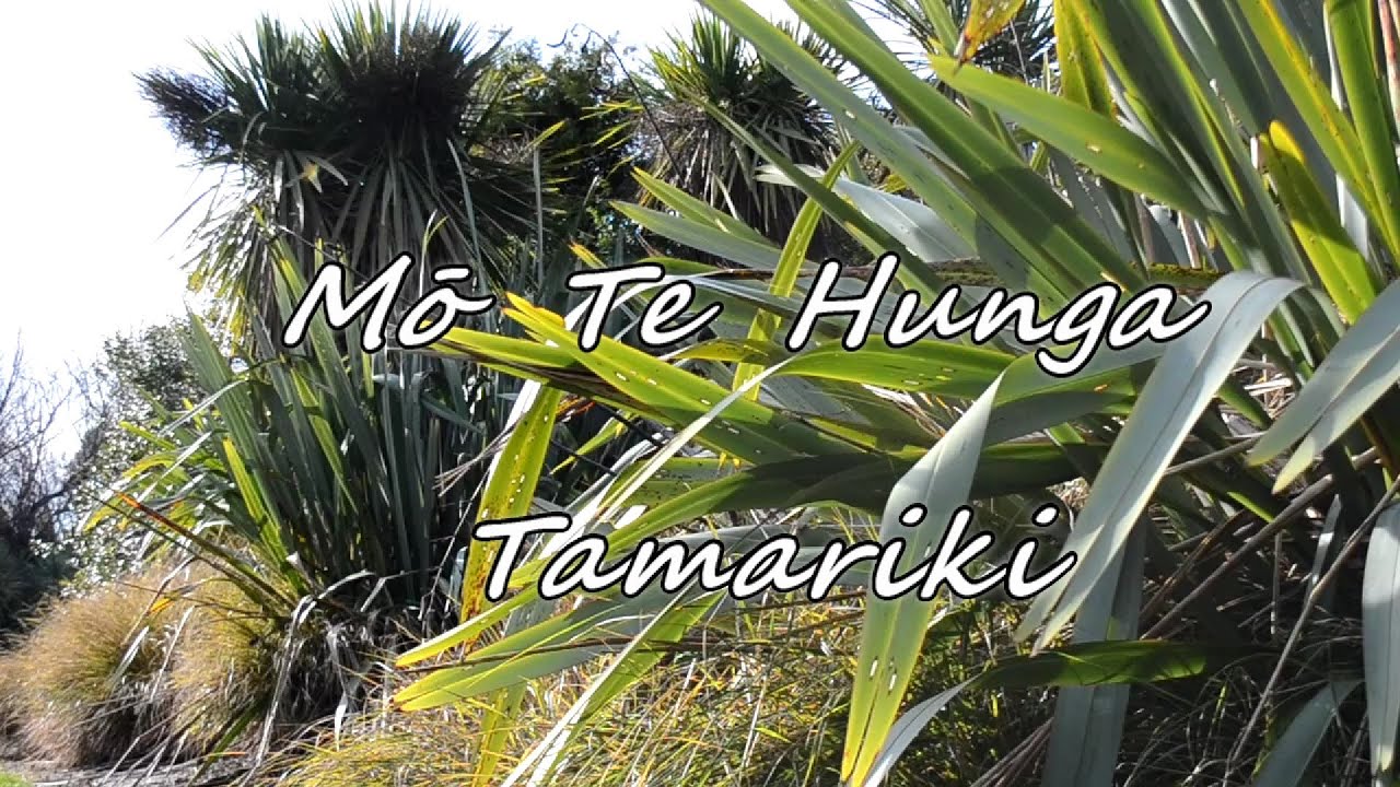 Waiata - Mō Te Hunga Tamariki (Prayer for Children)
