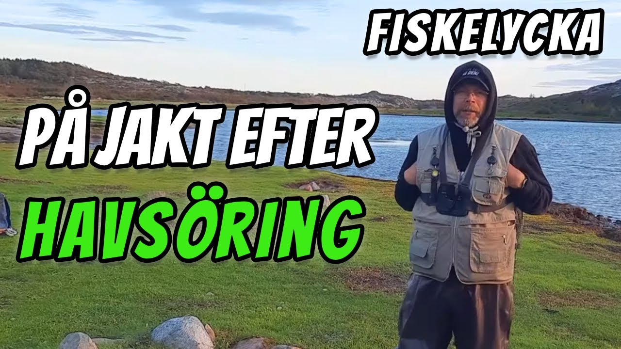 Havsöring på Nytt Ställe | Fiskelycka