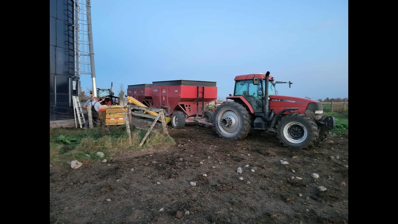 Harvesting High Moisture Corn in Canada