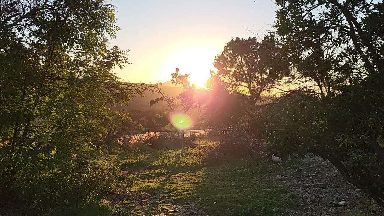 Sunset in the Garden