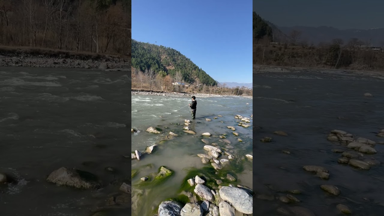 금강 줄기따라 대물이 들이받나? 🎣