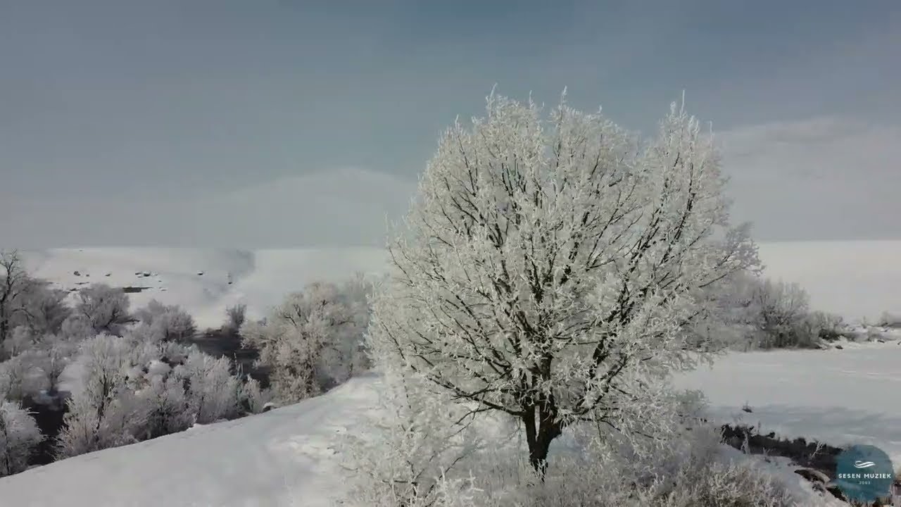 Efkan Şeşen - Gün Ağarırken | Official Music Video © 2022 Sesen Muziek