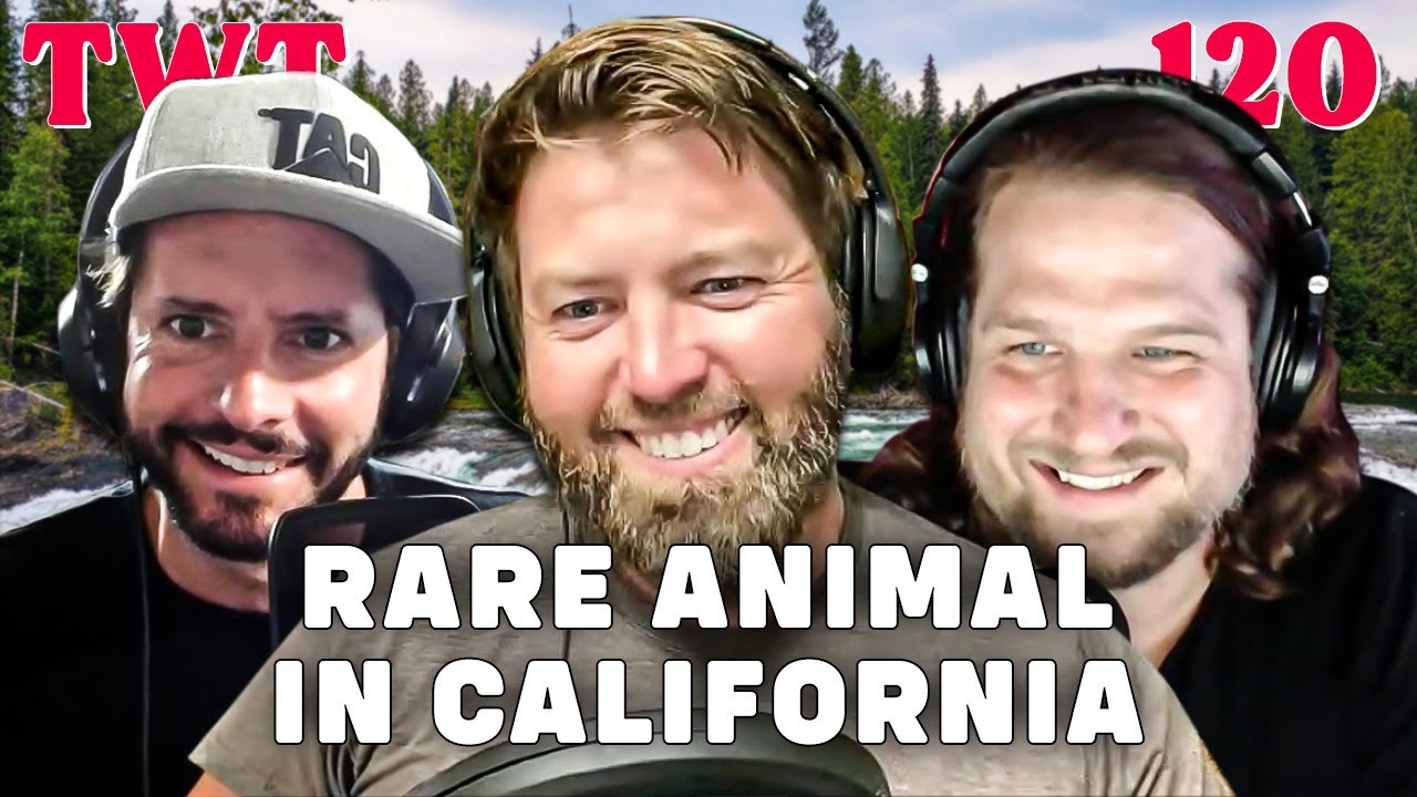 Animal Seen in California for Second Time in 100 Years - The Wild Times Ep. 120