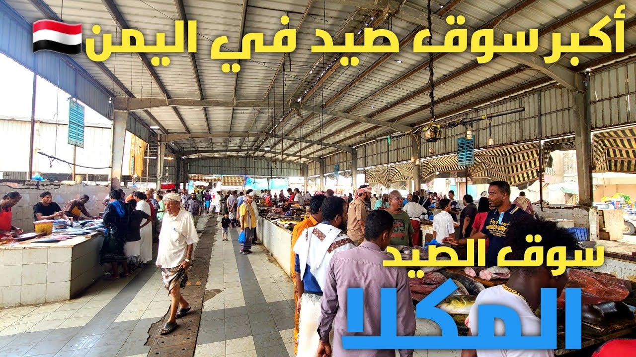 جولة في سوق الصيد المكلا حضرموت اليمن A tour of the Mukalla fishing market