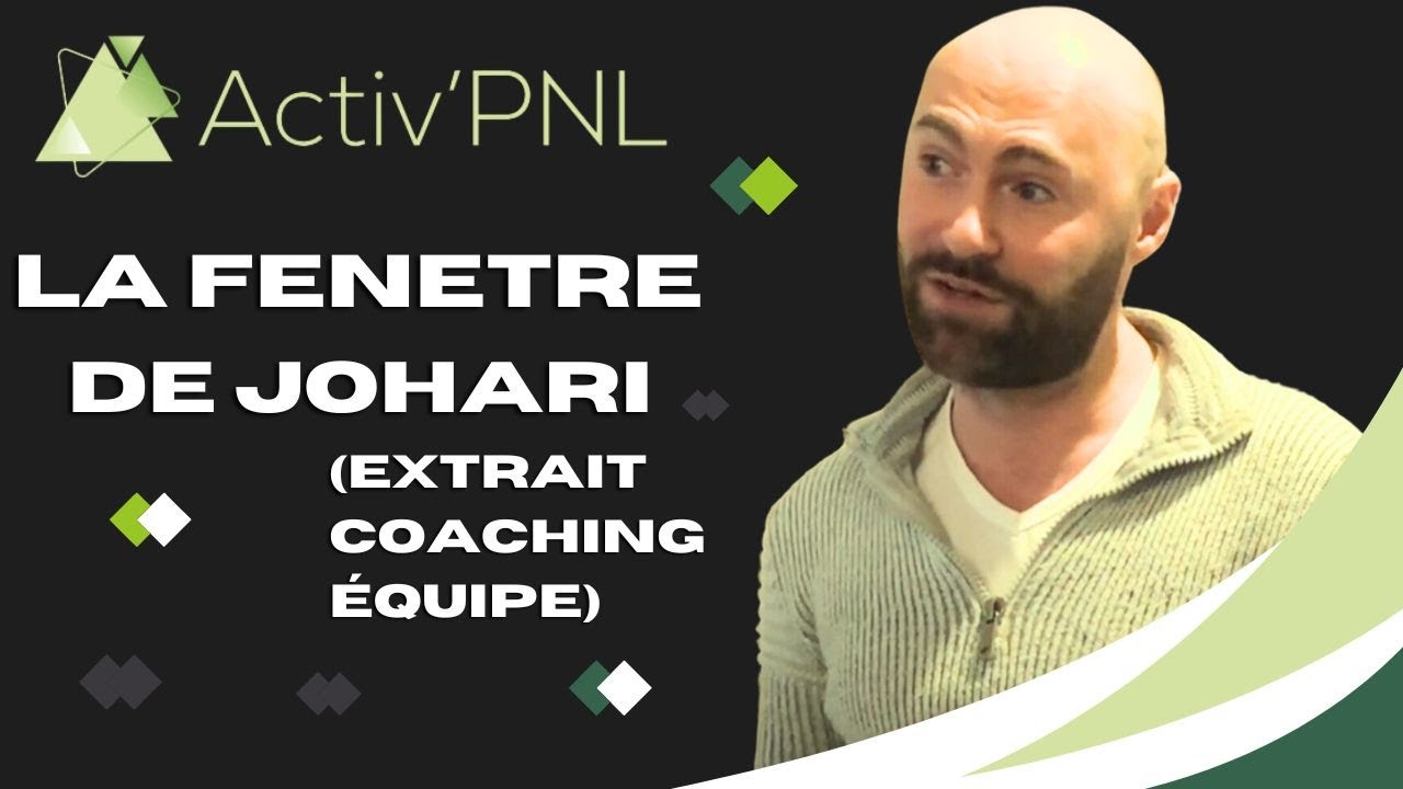 La fenêtre de Johari: (Extrait Coaching équipe)