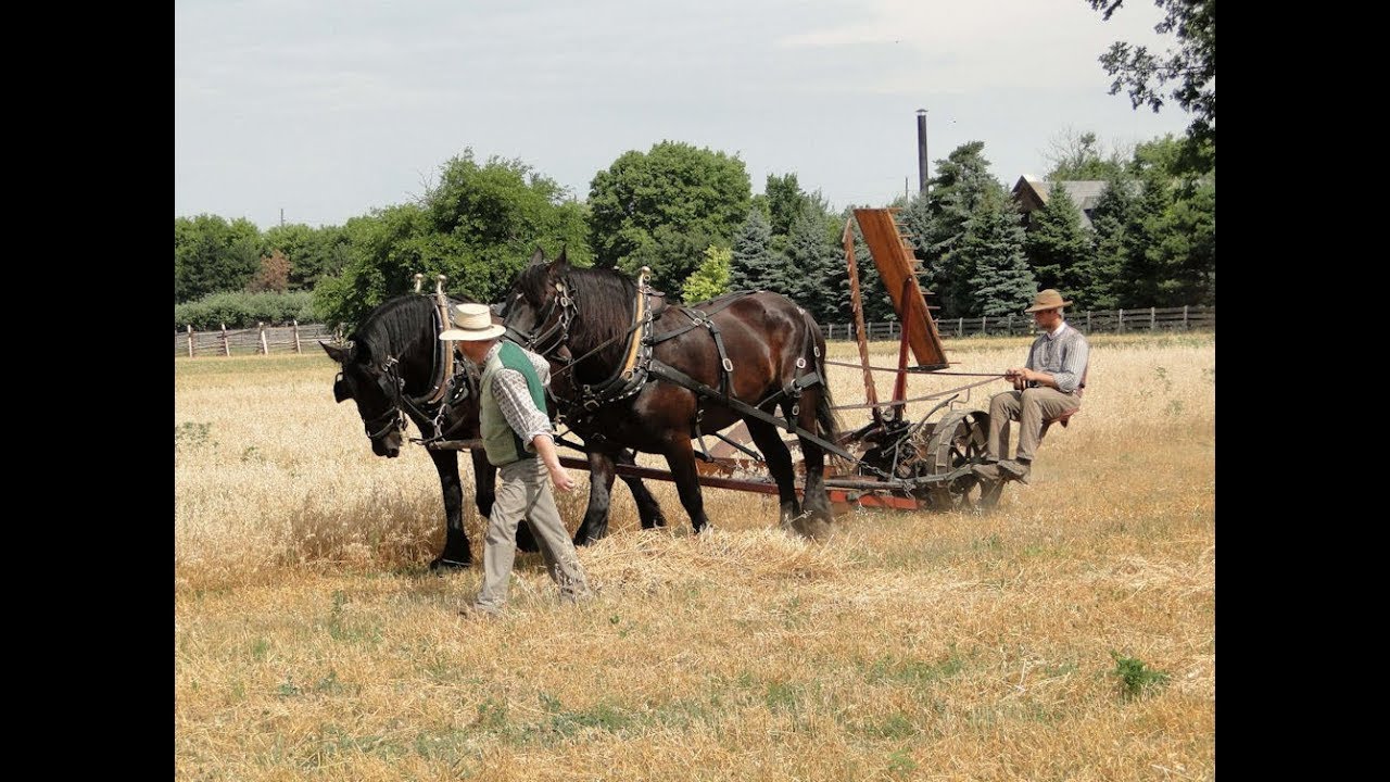 The Three Agricultural Revolutions/Agriculture Part 2 (AP Human Geography)