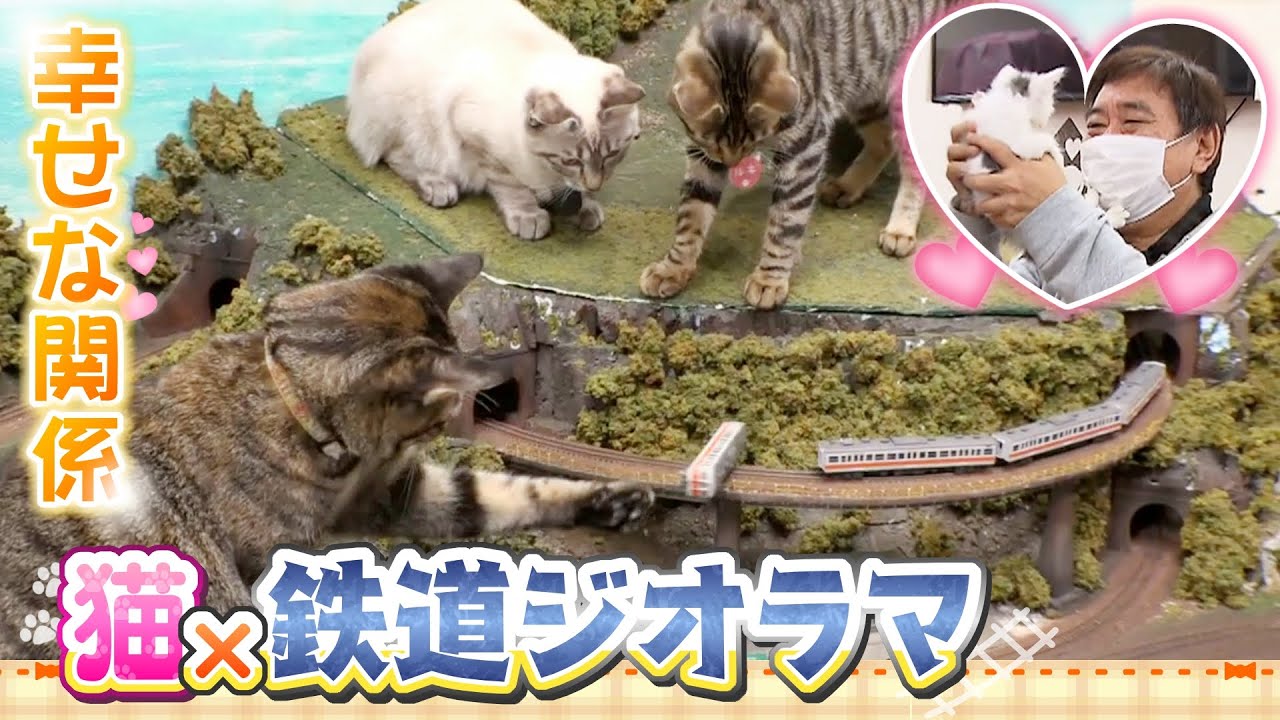 【特集】SNSで話題「猫×鉄道ジオラマ」のカフェ　コロナ禍で閉店の危機...そんな時に出会った