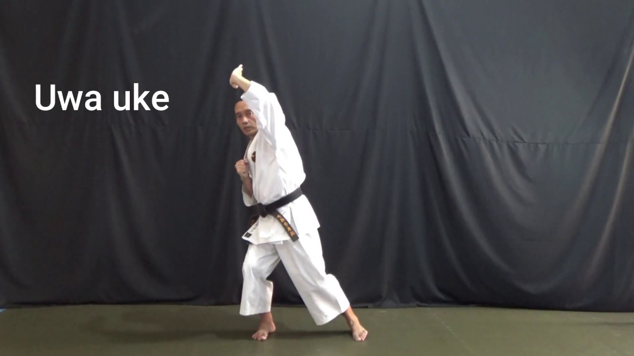Shorinji Kempo - Uke Waza  (Basic Techniques 6)