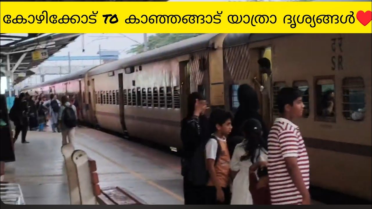@RAJEENDRNATH കോഴിക്കോട് നിന്നും കാഞ്ഞങ്ങാടിലേക്ക്🐱♥️#travel#medisin distribution#entertainment 