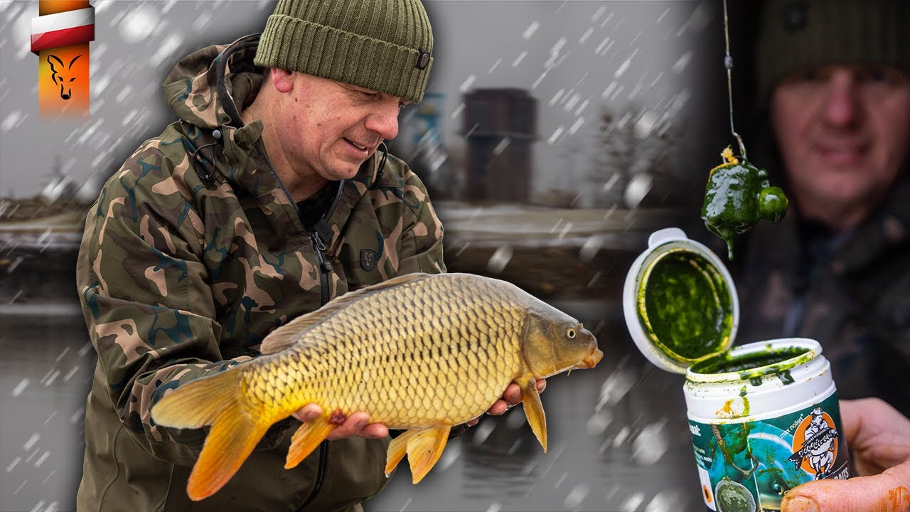 Te triki pozwolą Ci skuteczniej łowić karpie zimą👀🥶 | Fox carp fishing