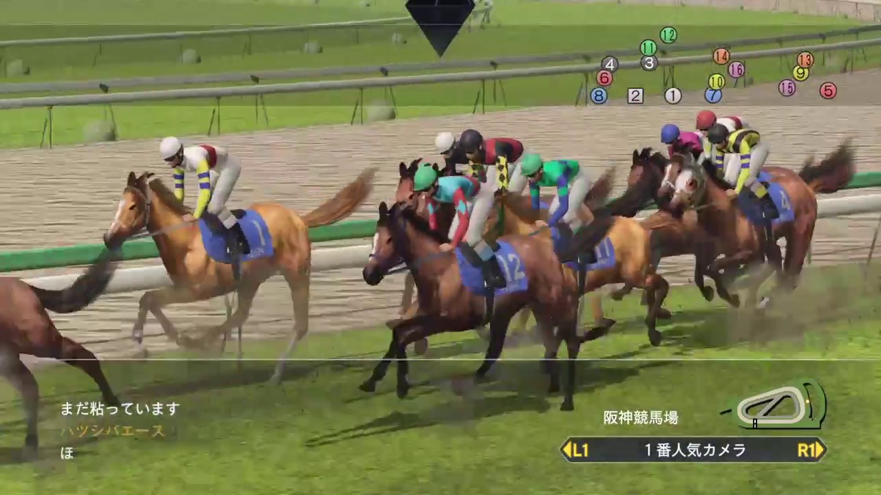 Winning Post 8 2017 - My ranch and horses