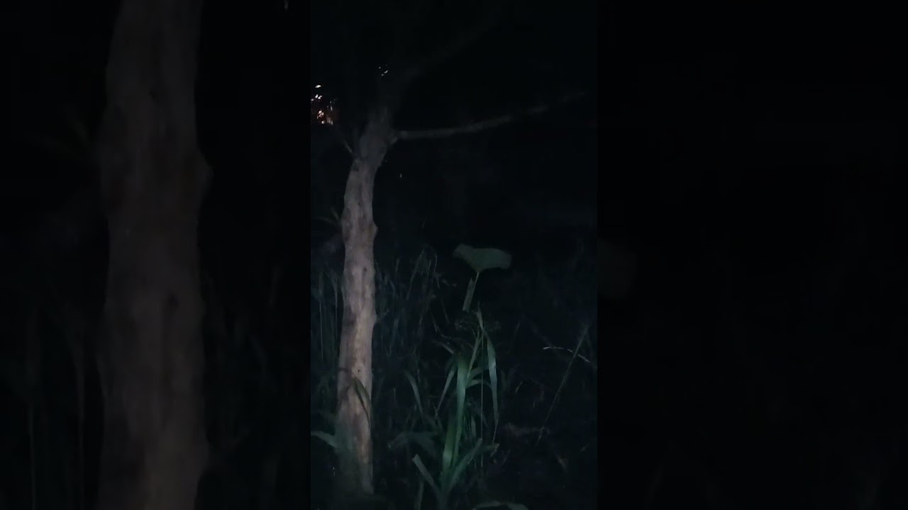 Tempat angker jurig jarian hungkul warga sekitar ga bakalan mau masuk kesini
