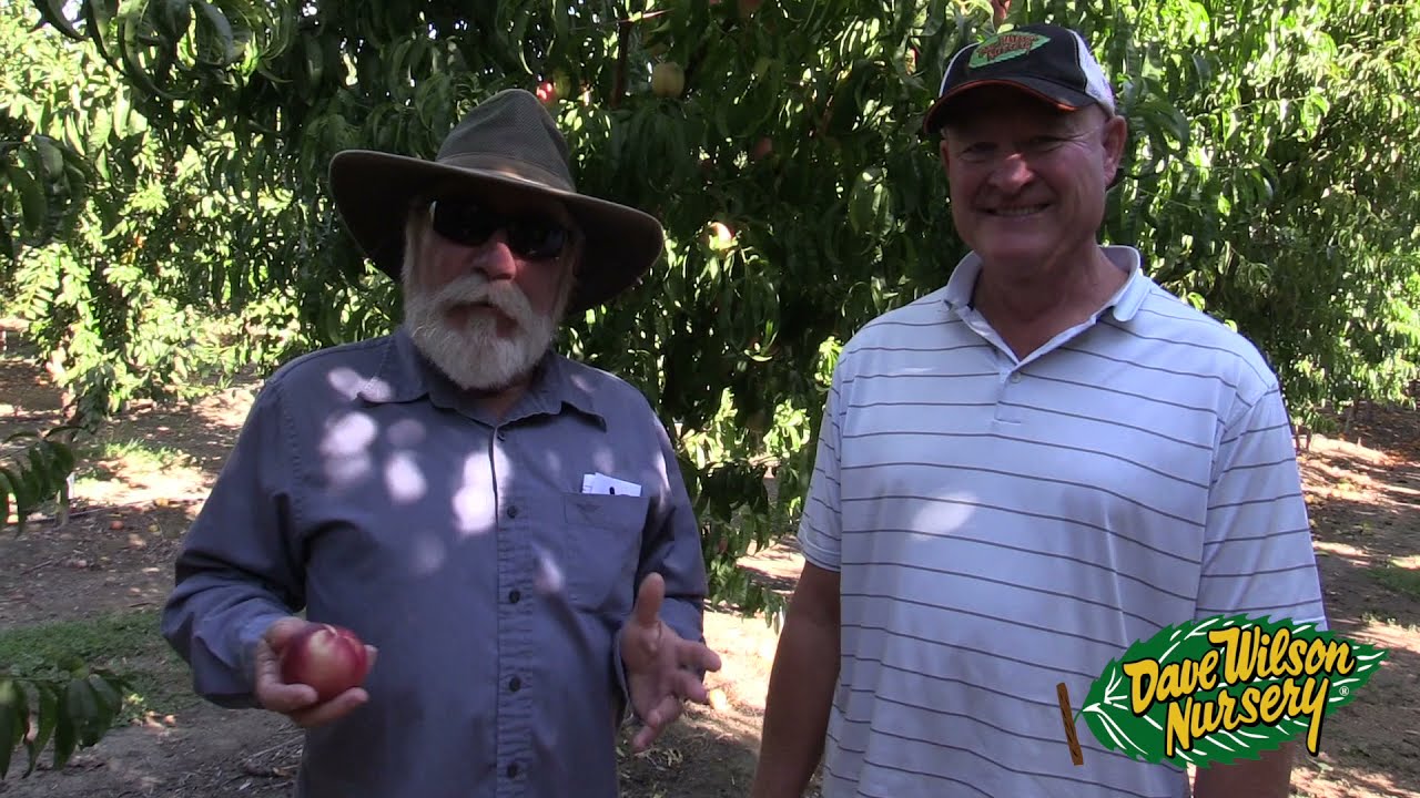 Zaiger Genetics Fruit Tour