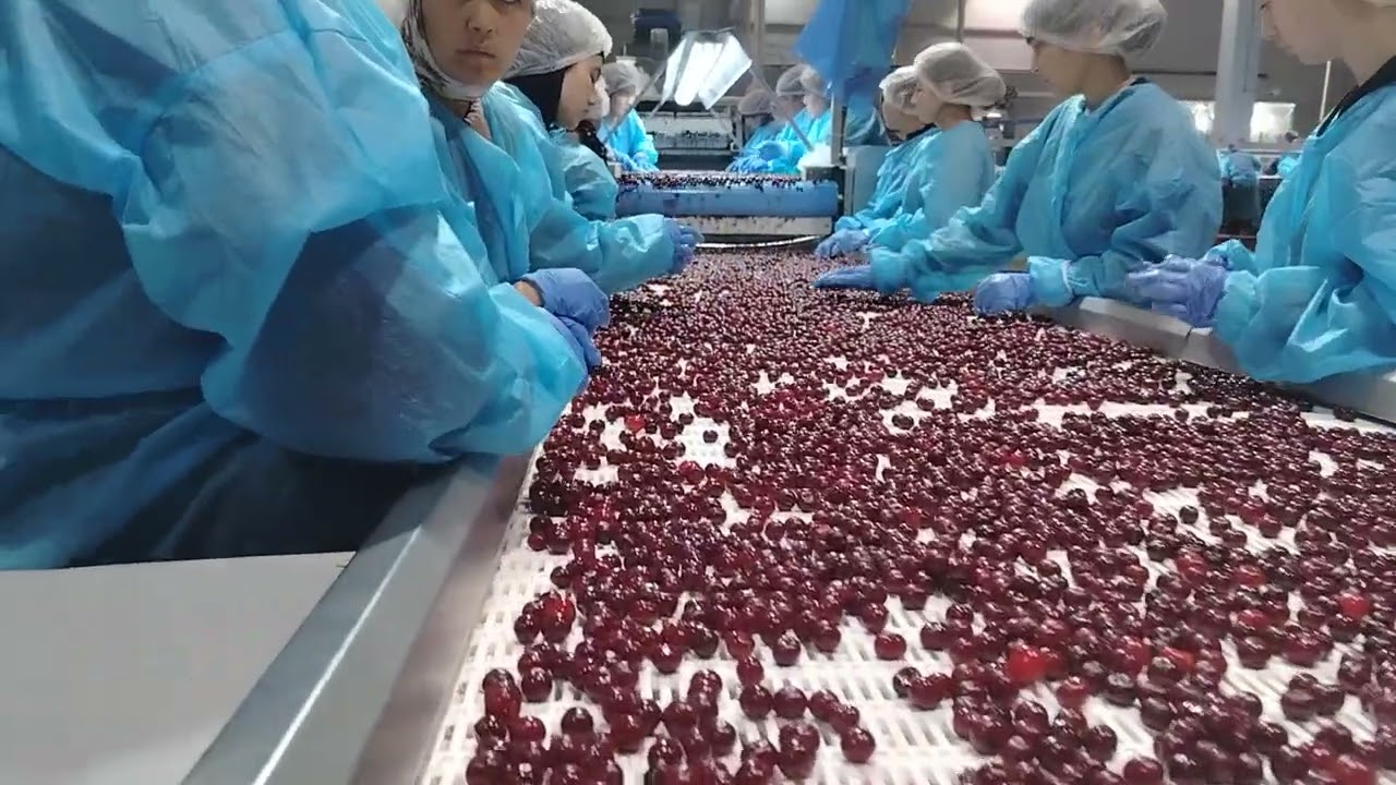 1 февраля 2026 г.