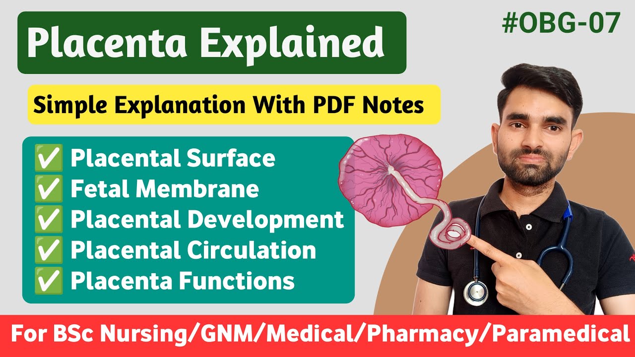 Placental Surface | Fetal Membranes | Placenta Development | Placenta Circulation And Functions