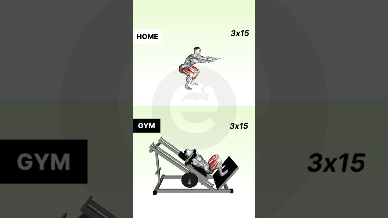 BALANCED FITNESS PROGRAM &ndash; YOUR FULL-BODY ROUTINE FOR RESULTS