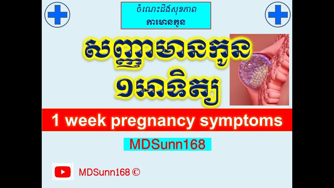 សញ្ញាមានកូន១អាទិត្យ l 1 week pregnancy​ symptoms l ការមានផ្ទែពោះ​ l MDSunn168