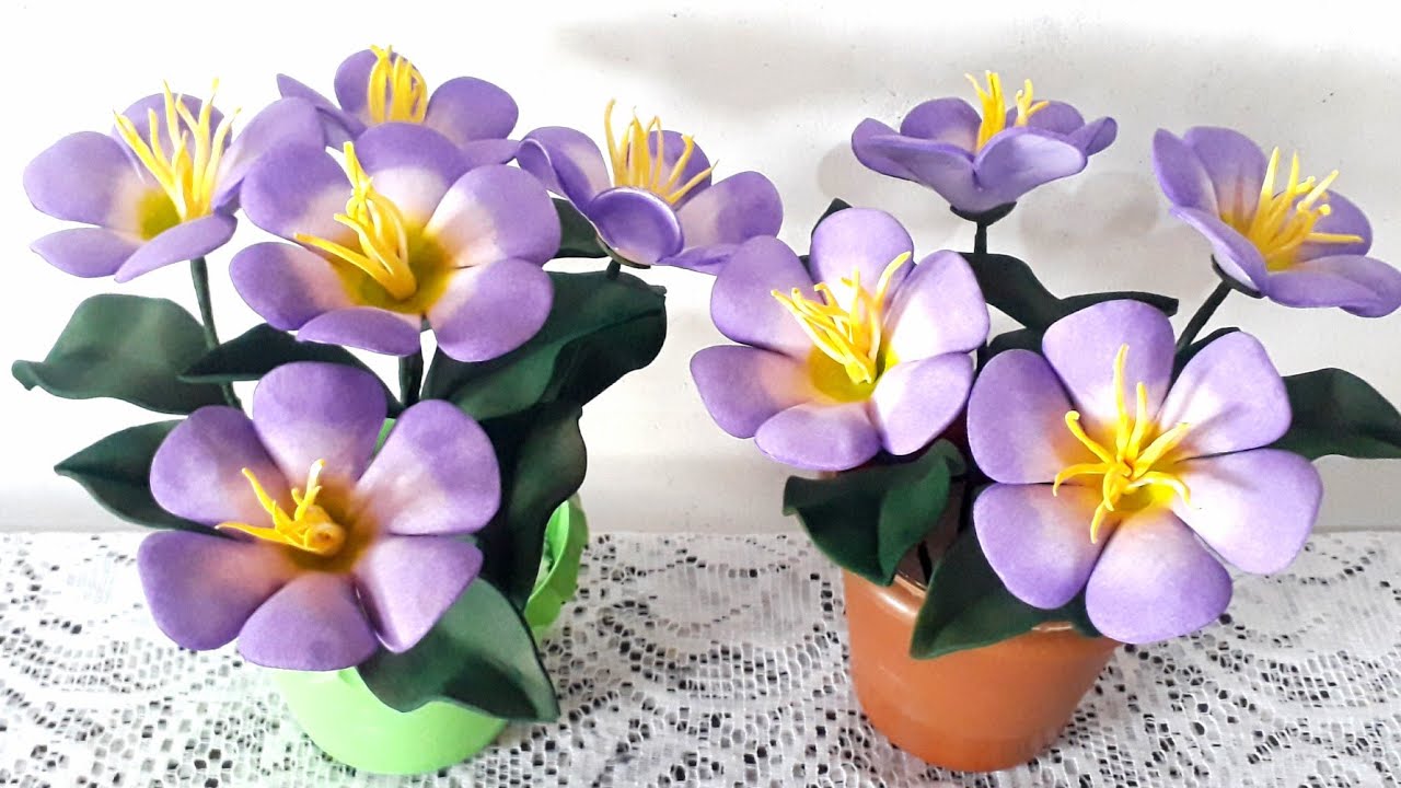 Linda Flor em Eva sem frisador para o dia dos Finados.