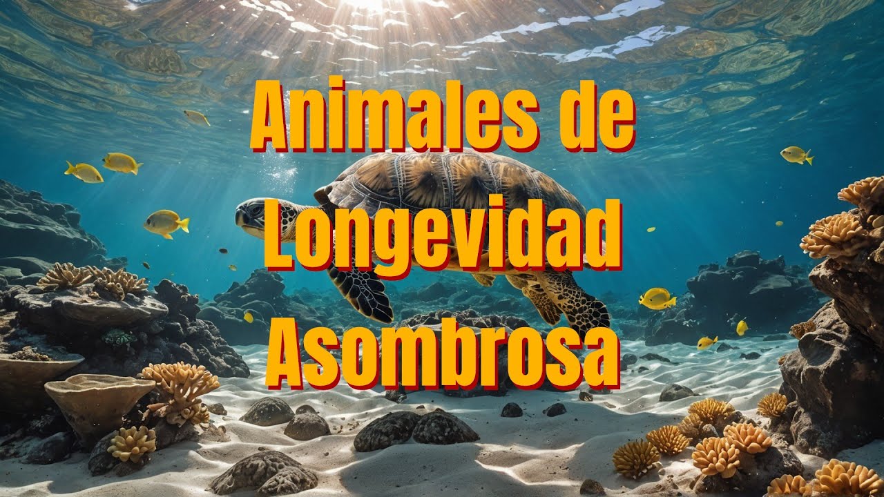 Animales de Longevidad Asombrosa