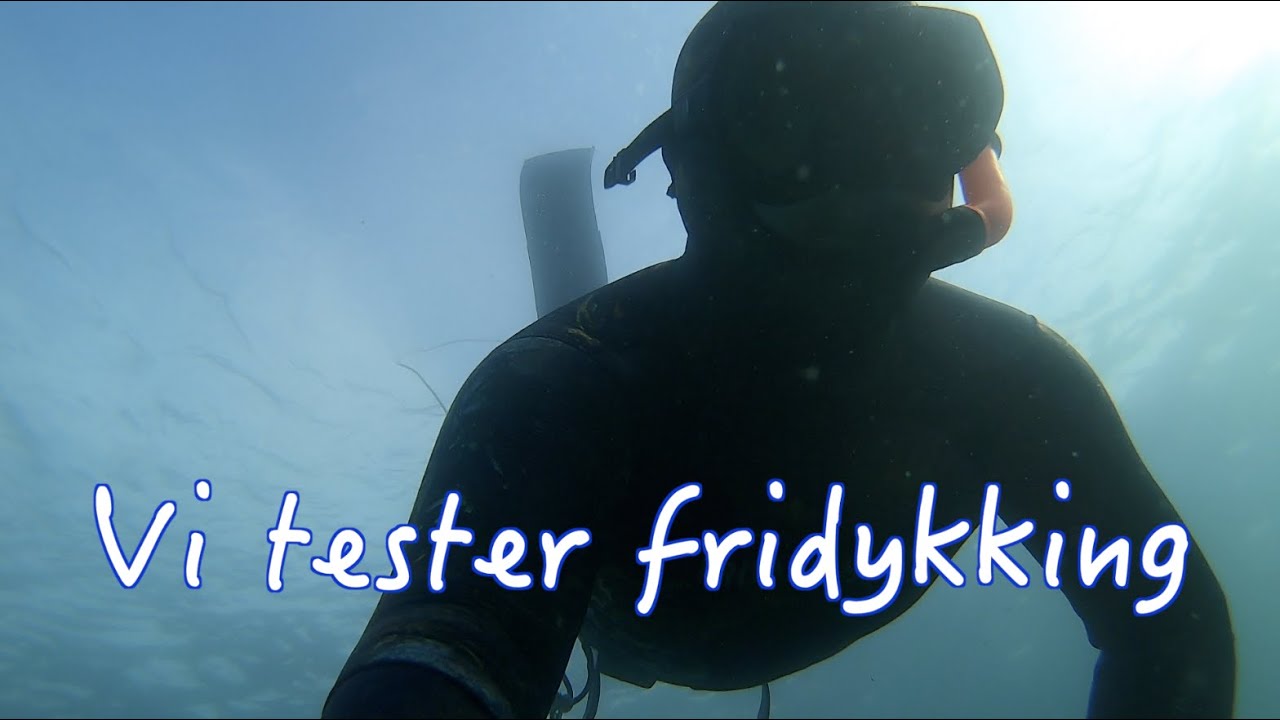 #9 Norgesferie del 2 - Fridykking