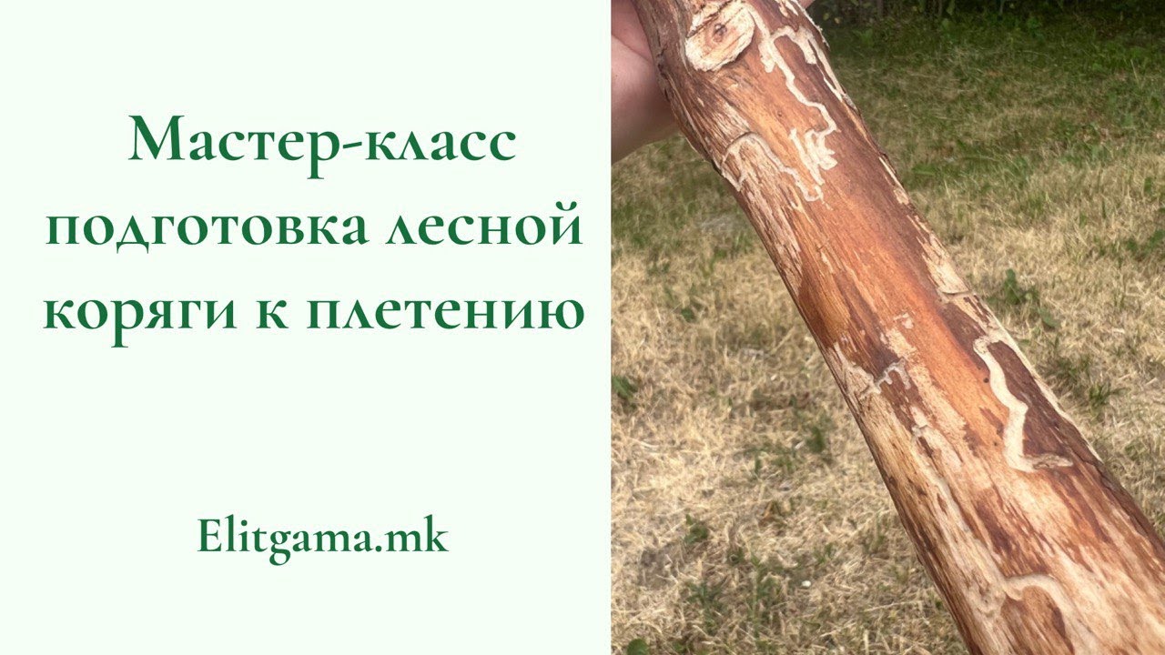 Мастер-класс. Подготовка лесной коряги для макраме