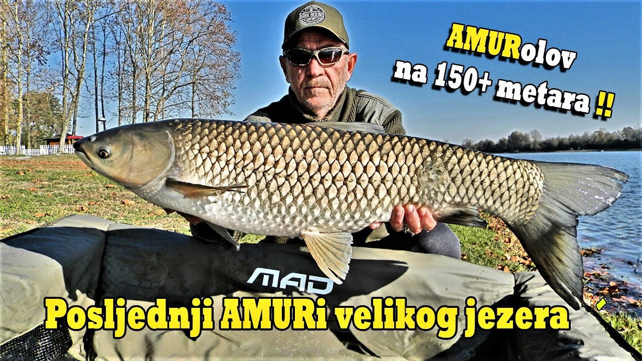 Posljednji AMURI velikog jezera - Tiger Nuts u hladnoj, dubokoj vodi Šoderice / VSP Igor Pavičić
