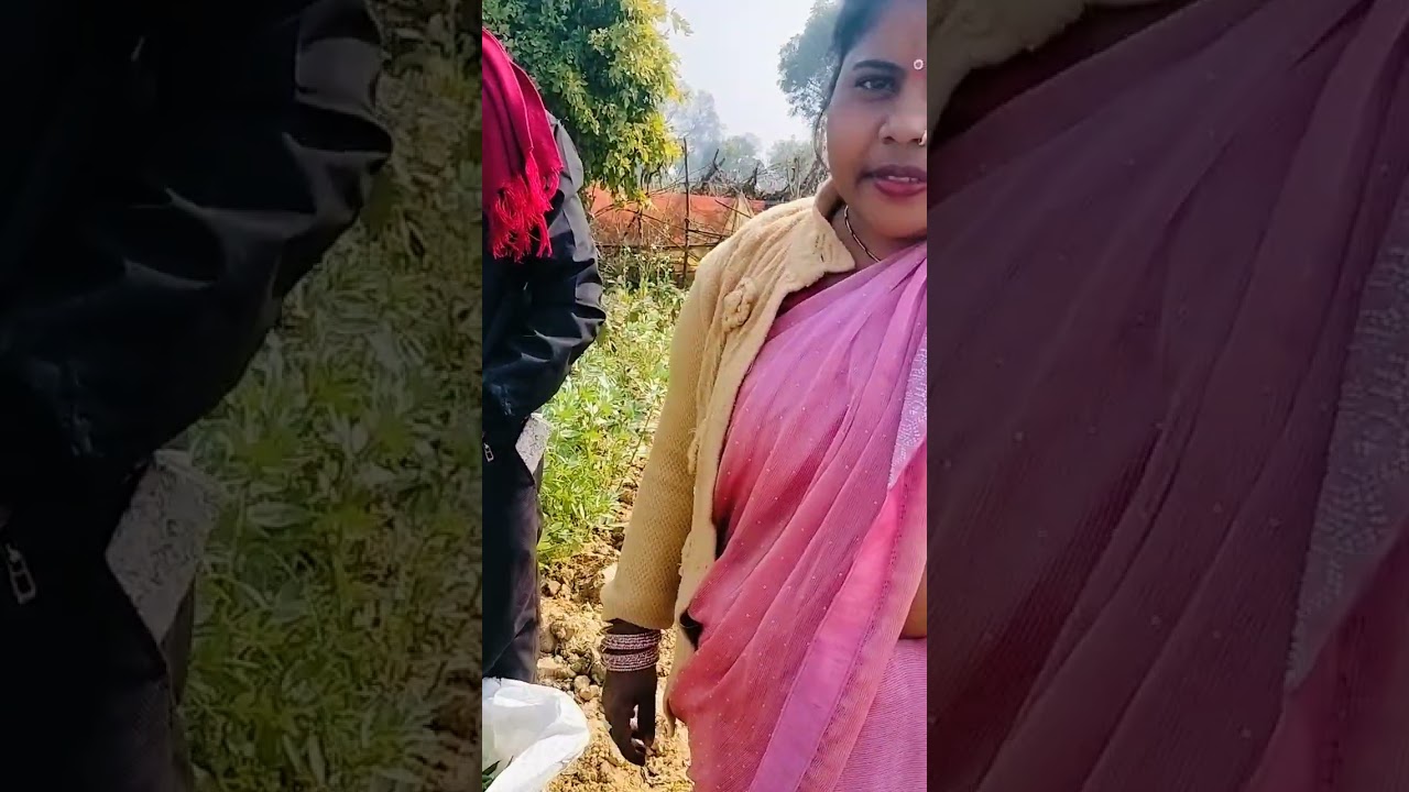 Ham log khet mein Aaye The matar todne ke liye 🥰🥰🥰