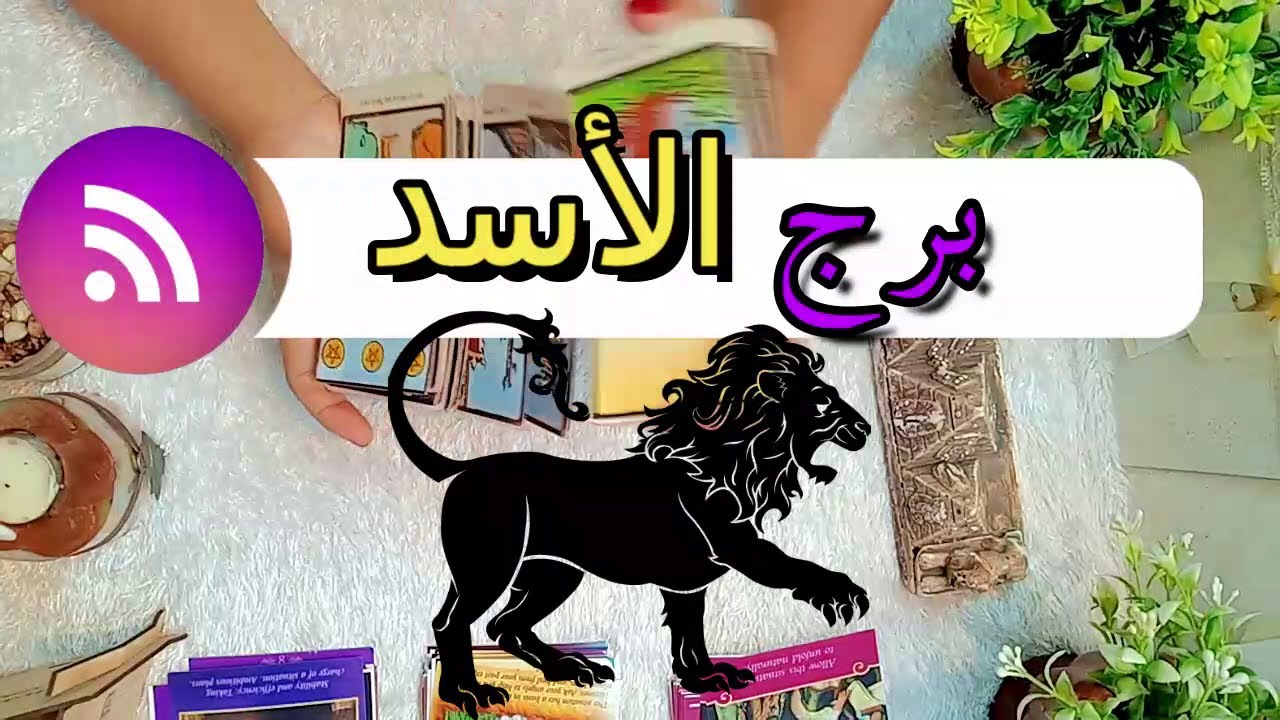 برج الاسد 📜بشارات & تحذيرات  | فبراير 2026 |شخص بتدخل معاه فى حب سري  !!!