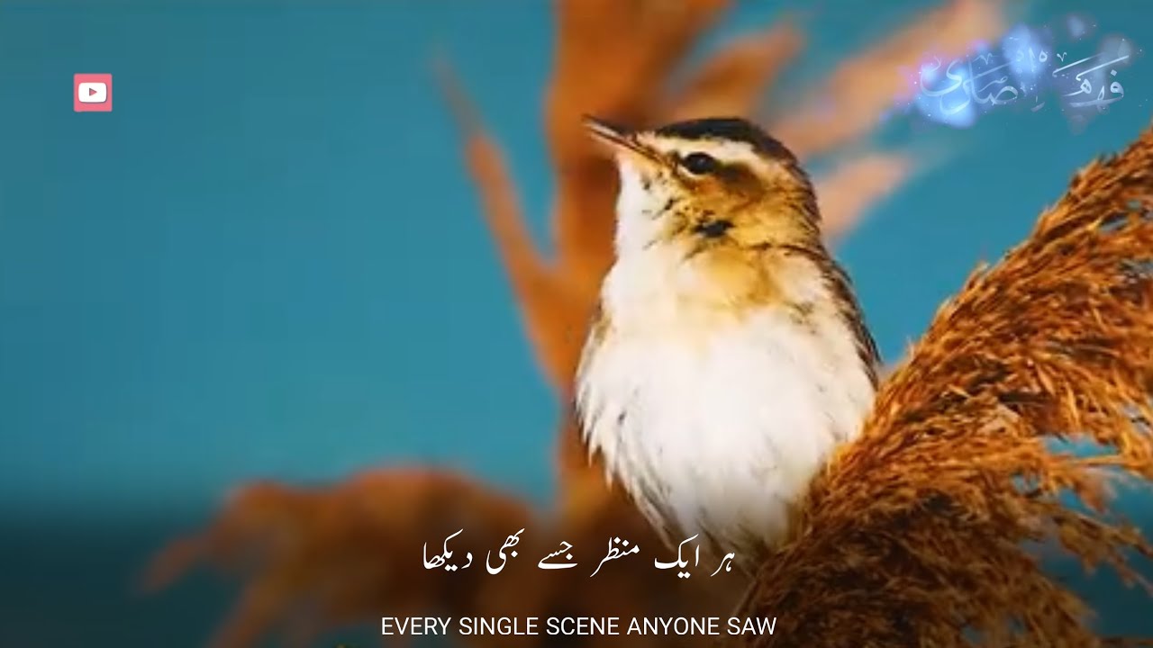 Beautiful Nasheed WhatsApp Status | Khudaya Tujhi Ko Paya | My Allah Found You | Hassan Anzar | HD