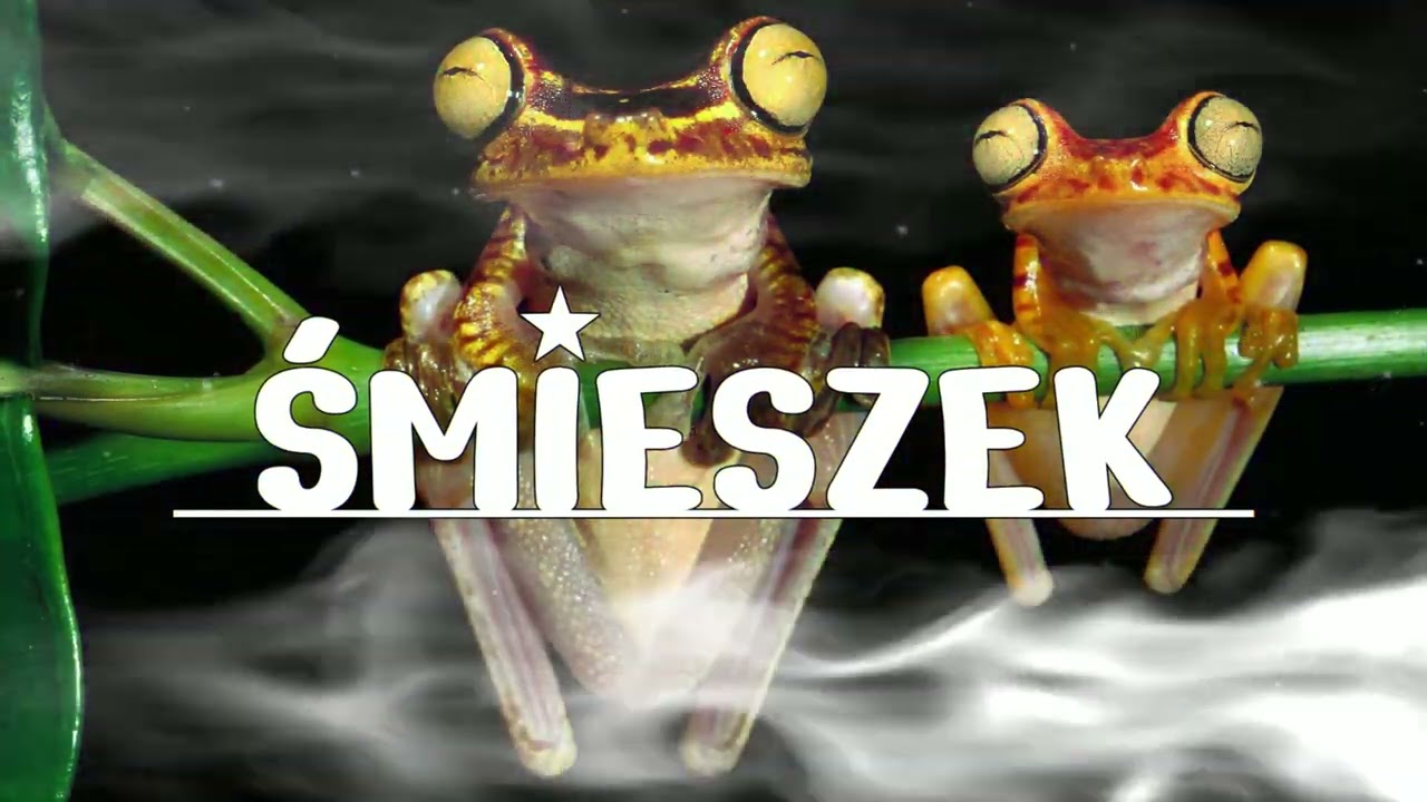 BYŁA SOBIE ŻABKA MAŁA (ŚMIESZEK REMIX)