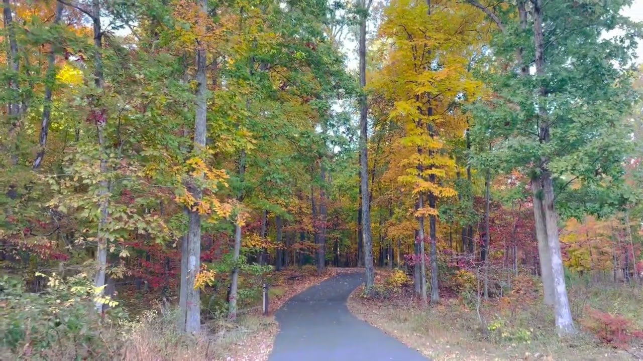 [4K] Scenic Stroll During Fall in Virginia, USA