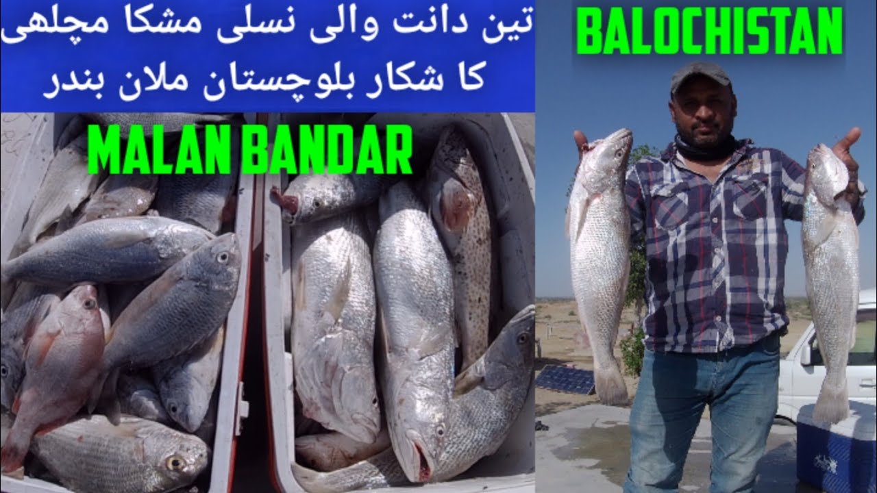 Ras Malan Bandar Balochistan | Balochistan Fishing | Travel To Kund Malir | Karachi Fishing