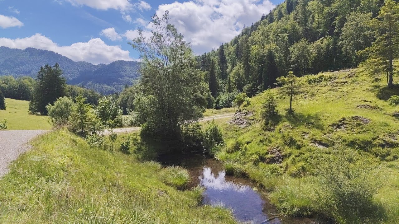 Kleine Wanderung auf die Pötsch - Alm