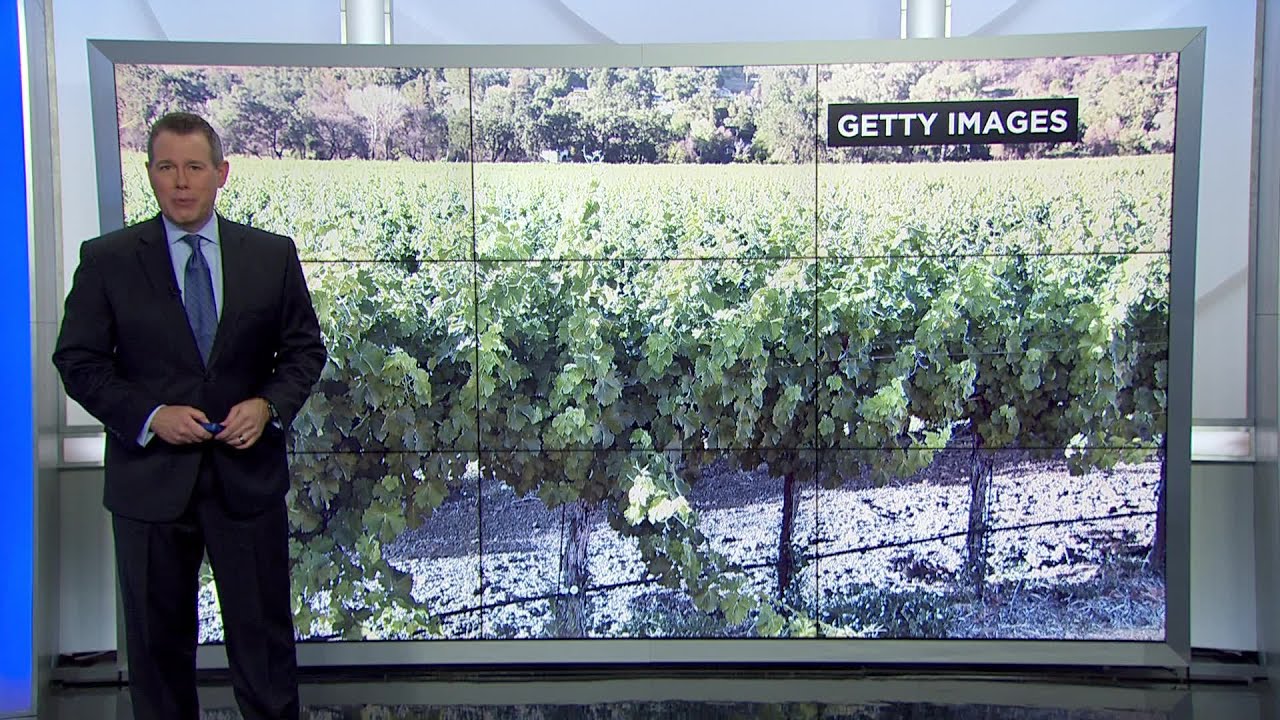 Weather Extra: Climate Change & Vineyards