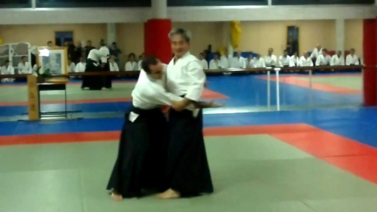 Curso de Aikido en Pamplona con Yasunari Kitaura 1-HD