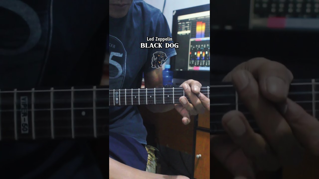 BLACK DOG - Led Zeppelin 