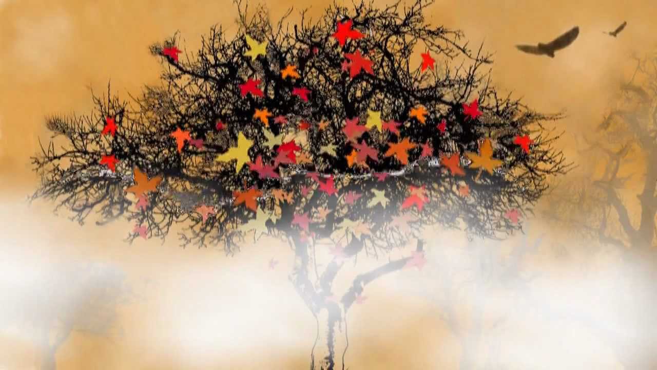 Hulljatok levelek / Falling Leaves - Aranyeső citerazenekar