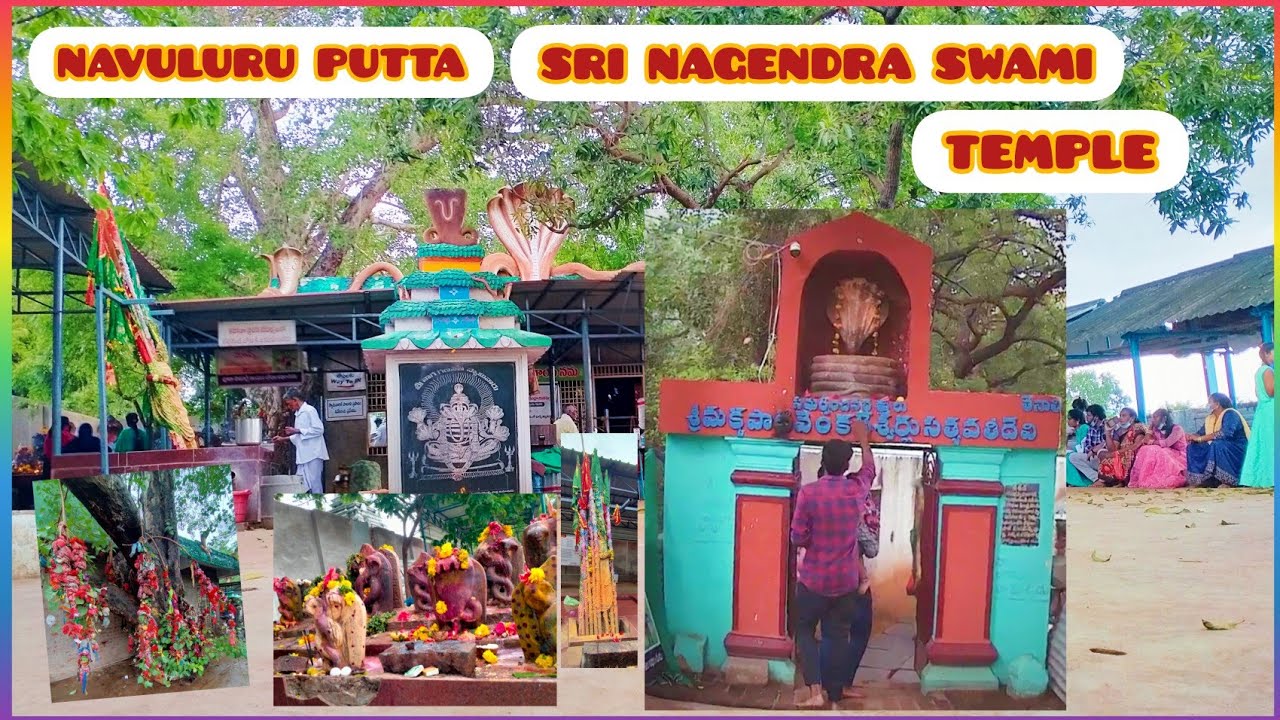 NAVULURU PUTTA SRI NAGENDRA SWAMI TEMPLE #mangalagiri #Navuluru #temple #vijayawada