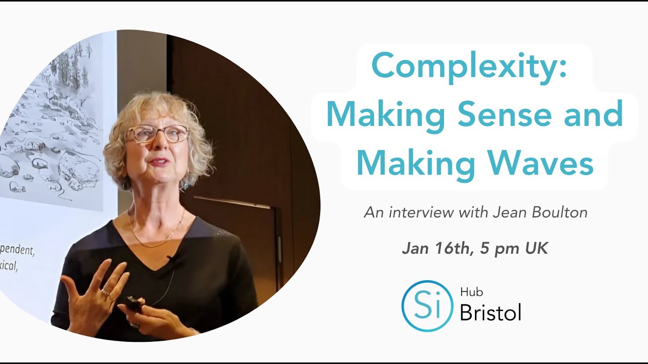Complexity: Making Sense and Making Waves - An interview with Jean Boulton