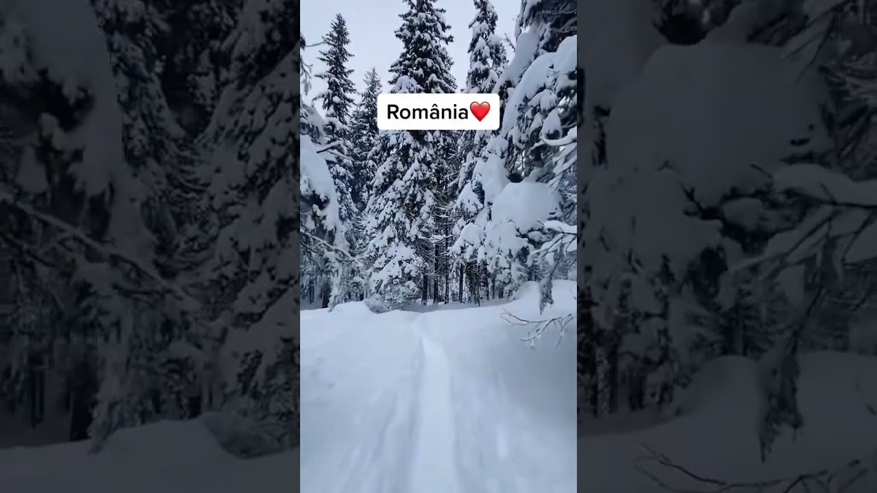 Iarna adevarata in Romania🫶🏔️ #shorts #romania #zapada #goviral #descoperaromania