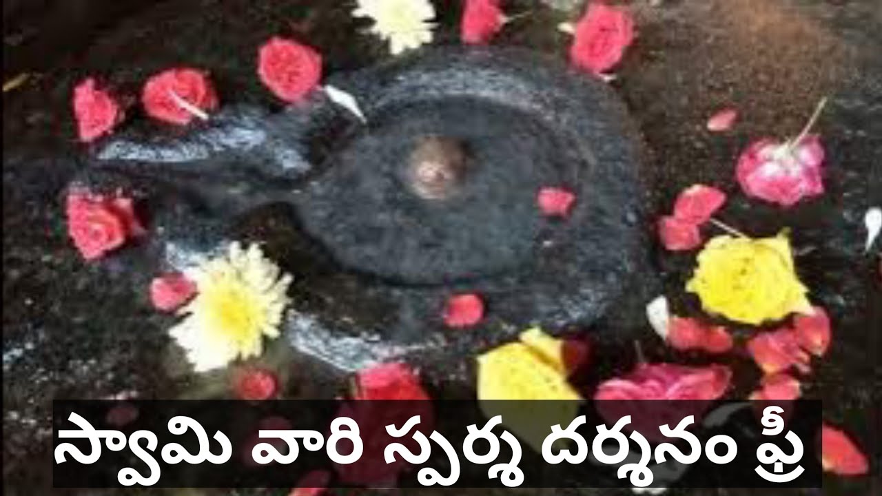 శ్రీశైలం స్వామి వారి స్పర్శ దర్శనం ఉచితం