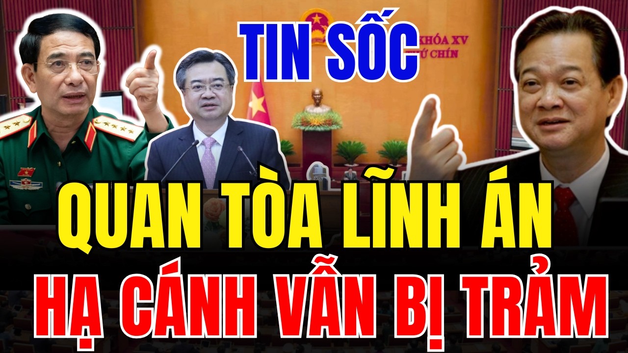 Tin tức việt nam thời sự mới nhất ngày 25/2/2026 ✈ Tin Nóng Chính Trị Việt Nam và Thế Giới