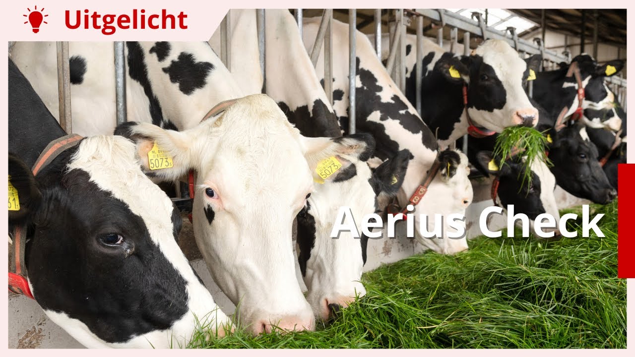 Uitgelicht | Zo berekent Aerius aanspraak op de uitkoopregeling